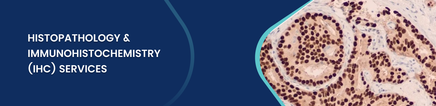 Histopathology & Immunohistochemistry Services at NovaPath Diagnostics